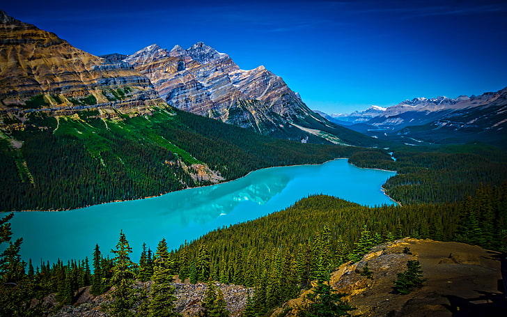 Turkusowe jezioro Peyto w Parku Narodowym Banff w Kanadzie na wysokości 1860 m Długość 2,8 km Tapeta HD Tv na tablety stacjonarne i telefony komórkowe 3840 × 2400, Tapety HD
