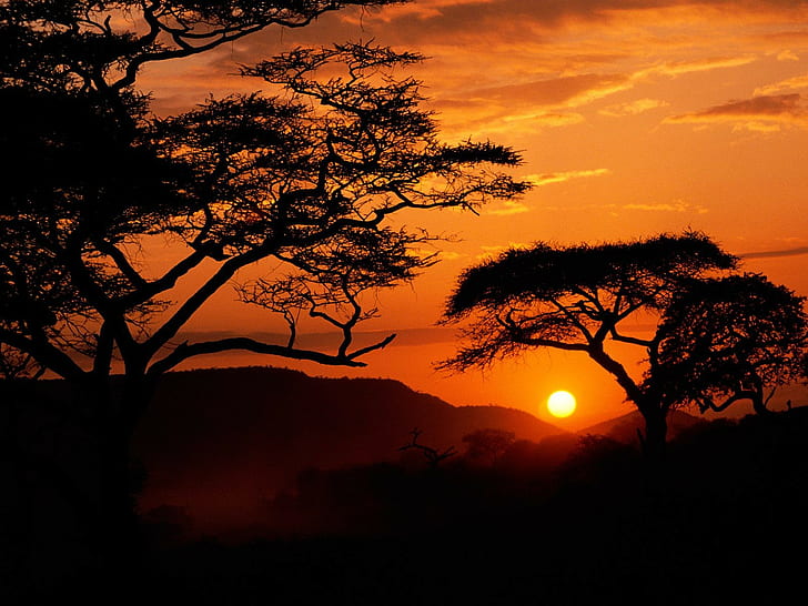 закат, африка, HD обои