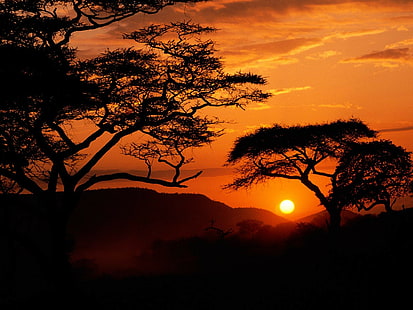 sunset, Africa, HD wallpaper HD wallpaper