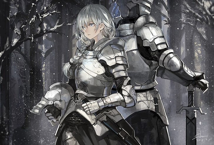 двама рицари в близост до дървета цифрови тапети, броня, меч, шлем, гора, сняг, HD тапет