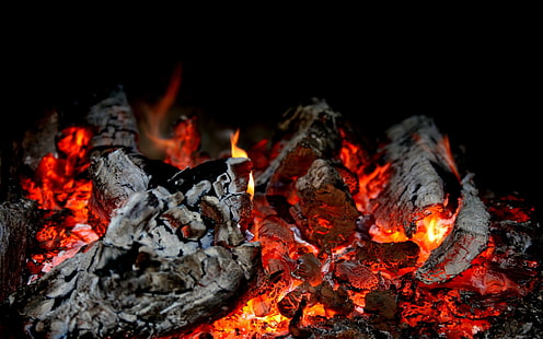 bonfire, fire, embers glow, flame, HD wallpaper HD wallpaper