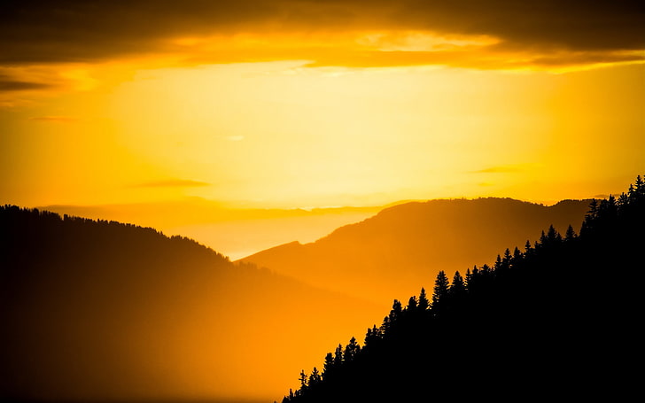 silhueta de árvores e montanhas durante a hora de ouro, paisagem, HD papel de parede