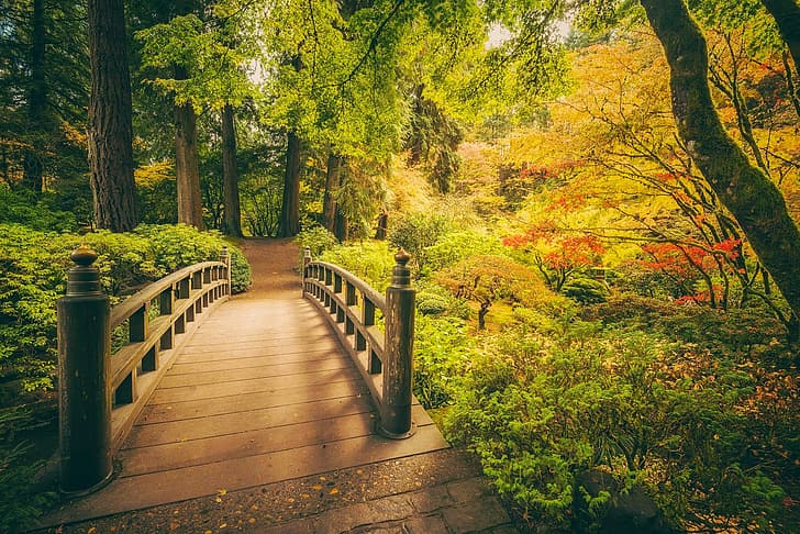autunno, alberi, parco, Oregon, Portland, il ponte, giardino giapponese, giardino giapponese di Portland, Sfondo HD