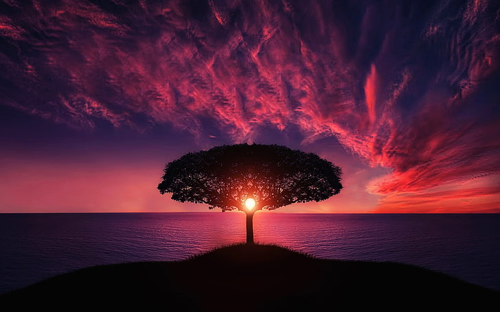 Schöne Sonnenuntergang-Baum-Landschaft, Baumschattenbild, Natur, Landschaft, Baum, Fluss, Landschaft, HD-Hintergrundbild