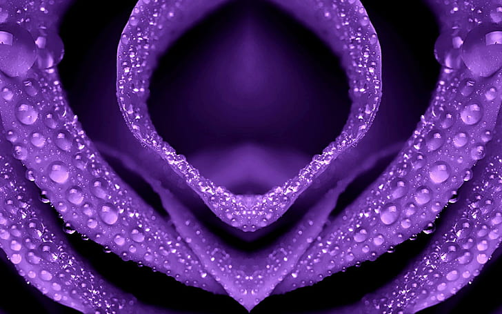 Flower Drip, naturaleza, goteo, púrpura, flores, 3d y abstracto, Fondo de pantalla HD