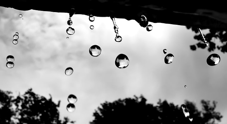 Raindrops, water drops, Black and White, black, dark, raindrops, HD wallpaper