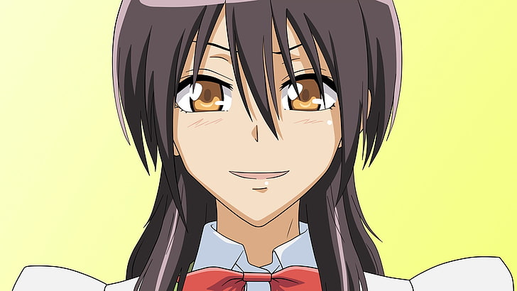 postać dziewczyny z anime w cyfrowej tapecie z białym kołnierzykiem, kaichou wa maid-sama, misaki ayuzawa, dziewczyna, brunetka, uśmiech, Tapety HD
