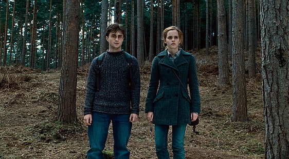Harry Potter, Harry Potter et les reliques de la mort: première partie, Hermione Granger, Fond d'écran HD HD wallpaper