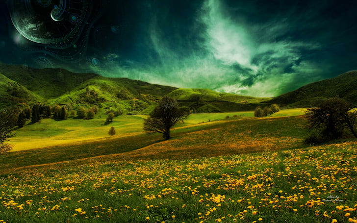 Dreamscape, fotografía de paisaje de campo de flores, dreamcape, dreamy y fantasy, Fondo de pantalla HD