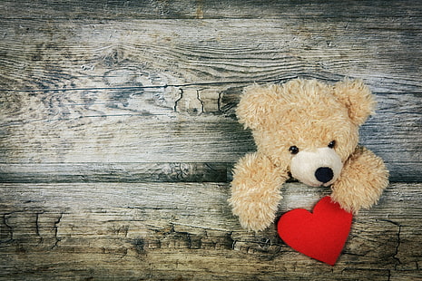 brown bear plush toy, teddy bear, heart, valentines day, love, HD wallpaper HD wallpaper