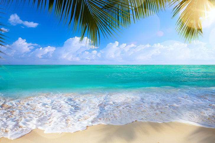 turkusowe morze, piasek, morze, plaża, palmy, brzeg, lato, raj, palmy, tropikalny, Tapety HD