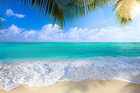 teal sea, sand, sea, beach, palm trees, shore, summer, paradise, palms, tropical, HD wallpaper HD wallpaper