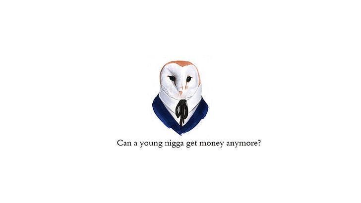 Un giovane negro può ottenere più soldi?meme gufo, minimalismo, sfondo semplice, arte digitale, citazione, umorismo, testo, animali, Sfondo HD