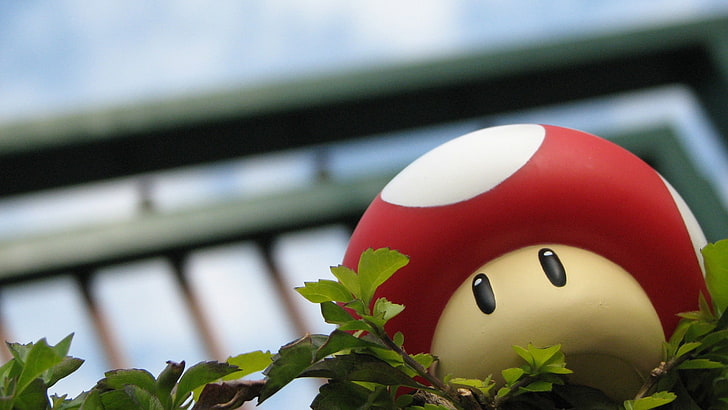 brinquedo cogumelo vermelho e marrom, Super Mario, cogumelo, HD papel de parede