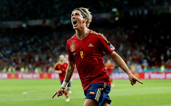 Fernando Torres, sepak bola, Spanyol, olahraga, Wallpaper HD