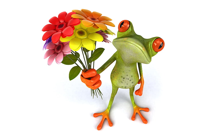 frog holding flowers illustration, frog, flowers, funny, HD wallpaper
