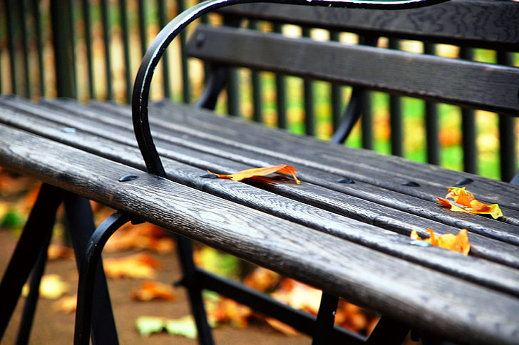 черная деревянная скамейка, осень, листья, скамейка, центральный парк, HD обои