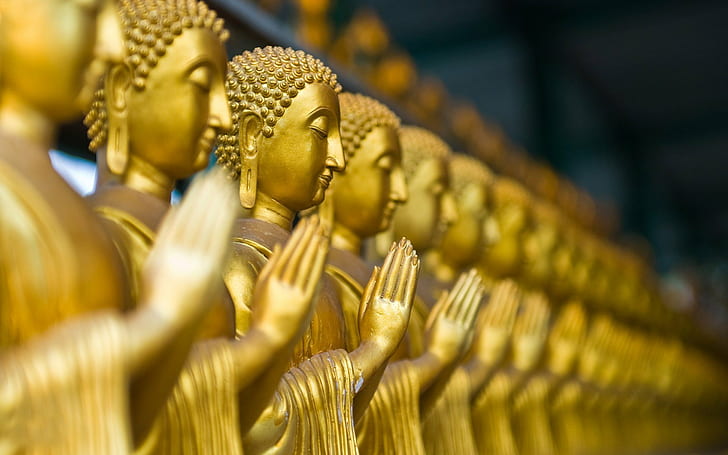 Buddha Schärfentiefe verschwommen Fotografie Makro Gold, HD-Hintergrundbild