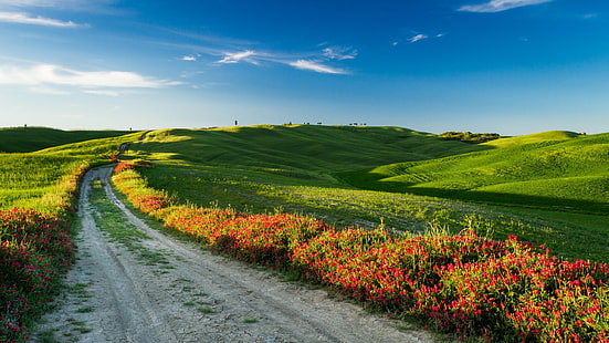 Toscana, Italia, paesaggio naturale, campi, strada, fiori, Toscana, Italia, natura, paesaggio, campi, strada, fiori, Sfondo HD HD wallpaper