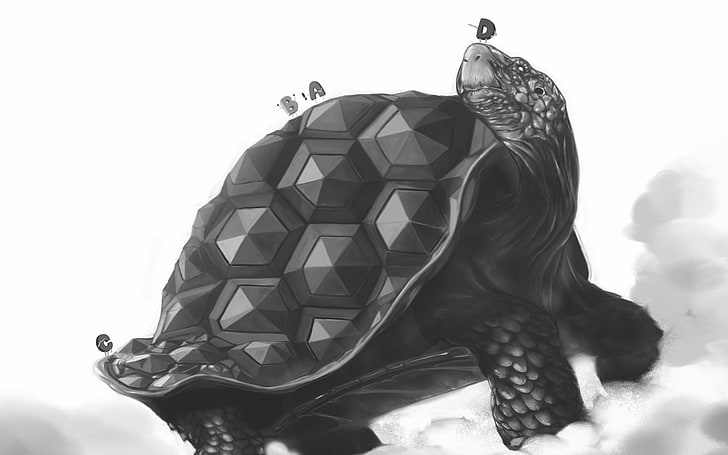 tartaruga, opera d'arte, monocromatico, fantasy art, Sfondo HD