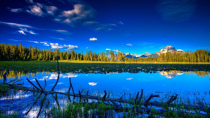 Log In A Beautiful Lake Hdr, gunung, hutan, rumput, danau, alam, dan lanskap, Wallpaper HD
