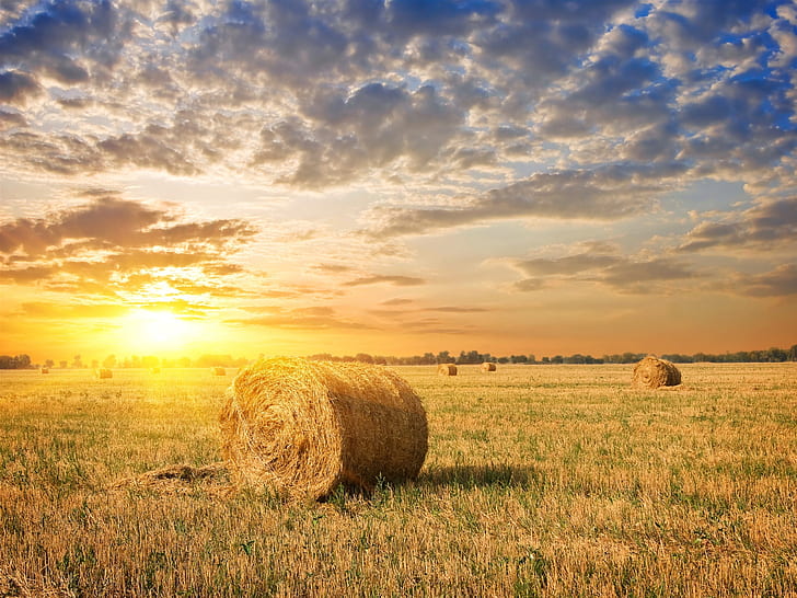 Bidang pertanian, rumput, jerami, matahari terbenam, awan, pertanian, lapangan, rumput, jerami, matahari terbenam, awan, Wallpaper HD
