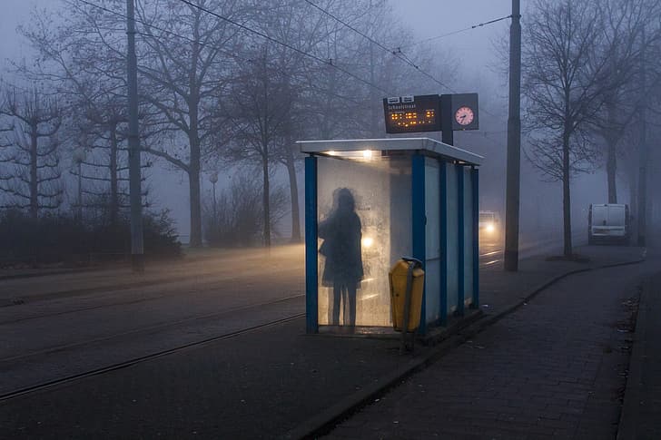 dark, bus stop, people, standing, waiting, mist, loneliness, alone, dead trees, HD wallpaper