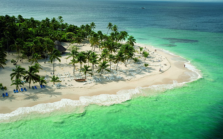 aerial view of coast, landscape, tropical, beach, palm trees, HD wallpaper