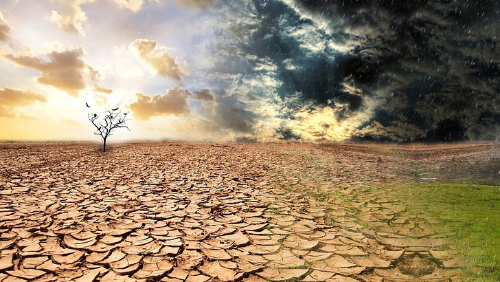 الصحراء ، العاصفة ، الطقس ، تغيرات الطقس ، التغيرات ، المطر ، المناخ ، تغير المناخ ، الطبيعة، خلفية HD