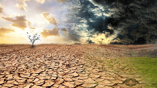 gurun, badai, cuaca, perubahan cuaca, perubahan, hujan, iklim, perubahan iklim, alam, Wallpaper HD HD wallpaper