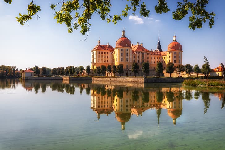 trees, branches, lake, reflection, castle, Germany, Saxony, Moritzburg, Moritzburg Castle, HD wallpaper
