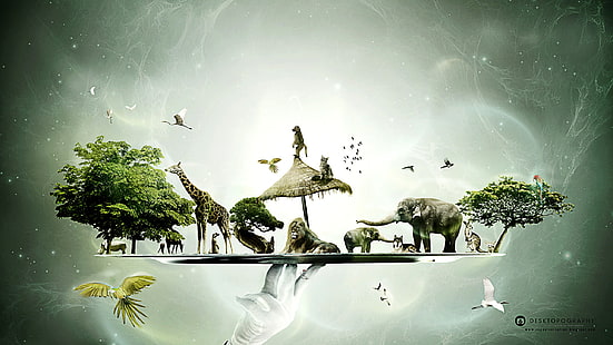 Tiere und Wald digitale Tapete, Baum, Affe, Vögel, Hand, Löwe, Wolf, Giraffe, Elefant, Flusspferd, Känguru, Teller, HD-Hintergrundbild HD wallpaper