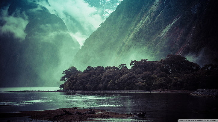 pohon berdaun hijau, pemandangan, gunung, tebing, danau, pohon, kabut, Wallpaper HD