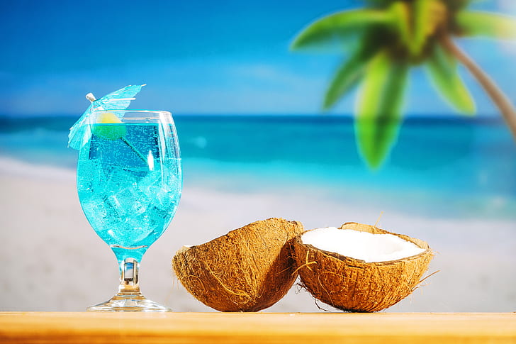 beach, summer, stay, coconut, cocktail, vacation, fruit, drink, tropical, palm, HD wallpaper