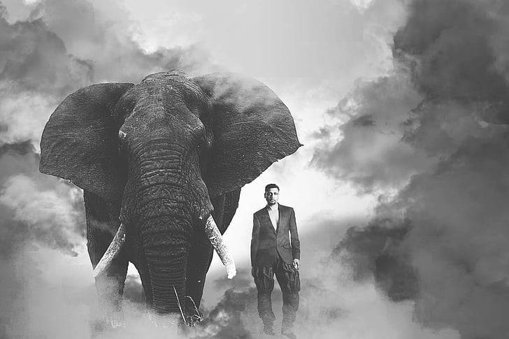 Fotografia, manipulacja, słoń, mężczyzna, modelka, dym, Tapety HD