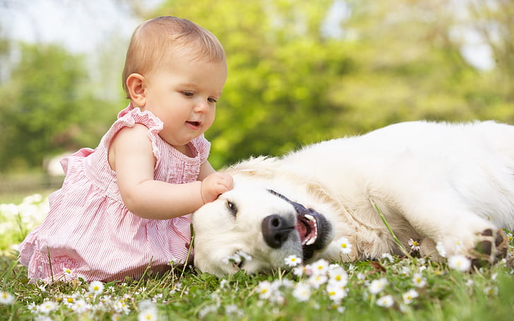 Cute Little Girl Playing With Dog, baby, dog, grass, flowers, HD wallpaper