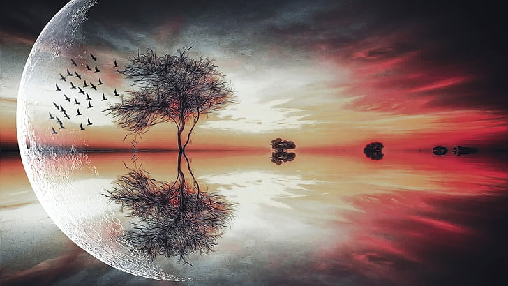 sunset, reflection, imagination, lake, horizon, fantasy landscape, lone tree, moon, orange, silhouette, HD wallpaper
