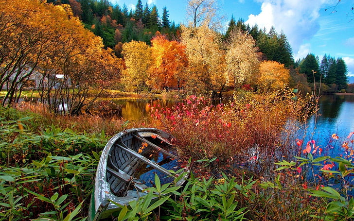 сива дървена лодка, снимка на дървена лодка върху тялото на вода, езеро, гора, природа, канута, дървета, падане, пейзаж, лодка, HD тапет