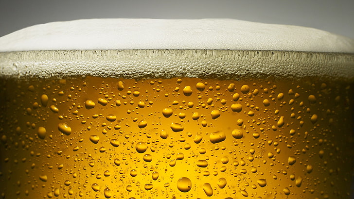 Bier, trinken, HD-Hintergrundbild