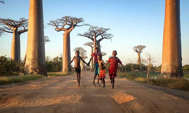 quattro ragazzi che giocano sulla strada di giorno, malgascio, ragazzi, ragazzo, su strada, di giorno, Madagascar, gruppo, baobab, vicolo, alberi, maschio, all'aperto, persone, fuori, donne, famoso luogo, turista, Sfondo HD