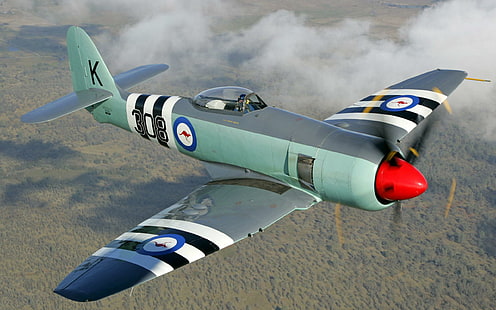 Hawker Sea Fury, flygplan, årgång, andra världskriget, plan, hawker, klassisk, brittisk, raseri, antik, världen, flygplan, HD tapet HD wallpaper