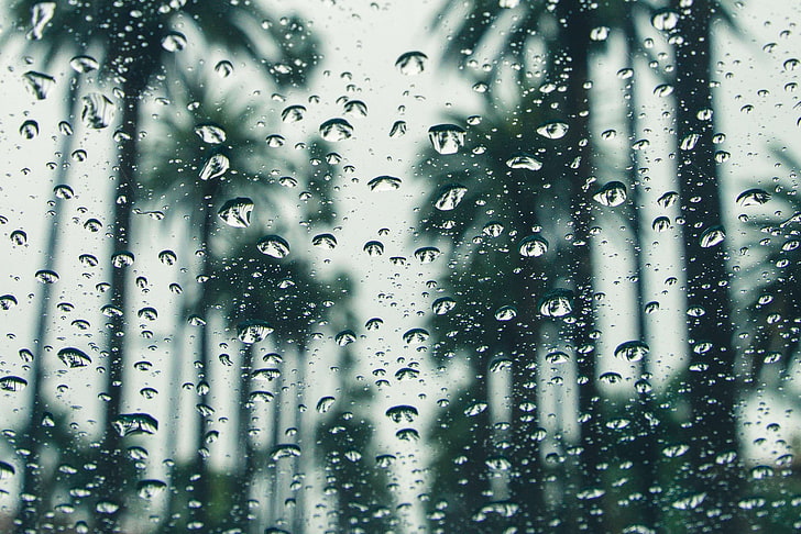 abstract, art, background, blur, bright, california, clean, close up, cold, color, design, dew, droplets, glass, insubstantial, mist, palm trees, rain, raindrops, reflection, shining, texture, water, wet, window, HD wallpaper