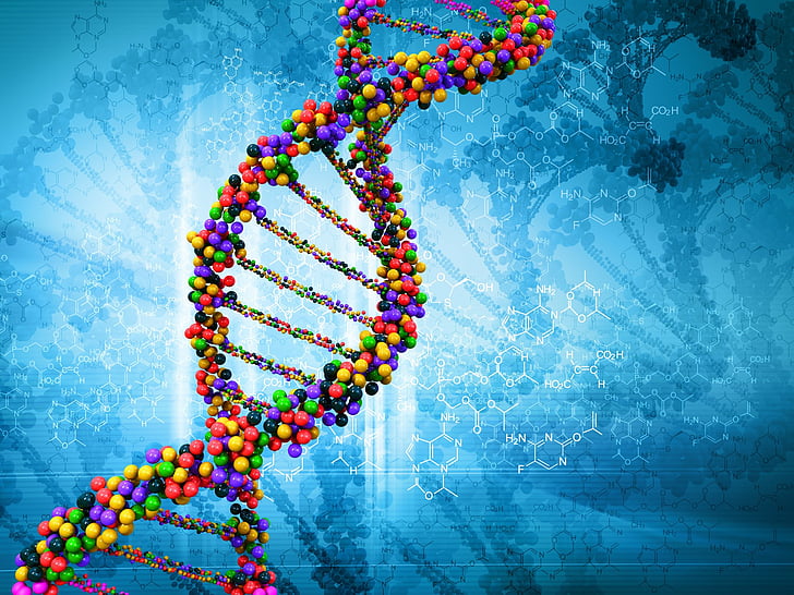 Artistic, DNA Structure, Colorful, Colors, Molecule, HD wallpaper