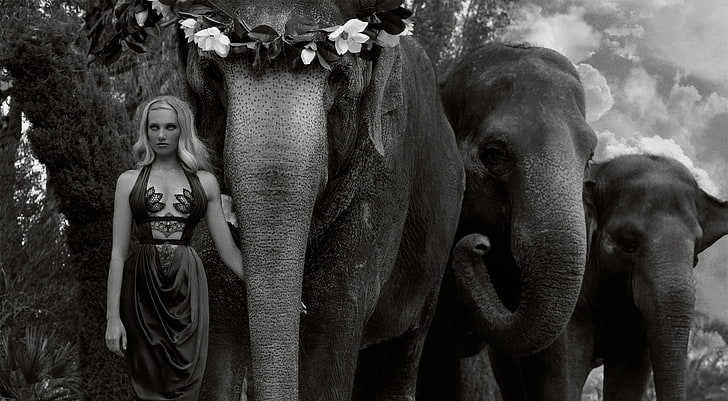 Woman Leading the Elephants, Black and White, Girl, Beautiful, People, Wild, Woman, Designer, Young, Amazing, Elephants, Animals, Model, Fashion, Collection, Wonderful, Elegant, fantastic, Lovely, Outfit, Fabulous, Clothing, glamorous, blackandwhite, clothes, extraordinary, loveanimals, HD wallpaper