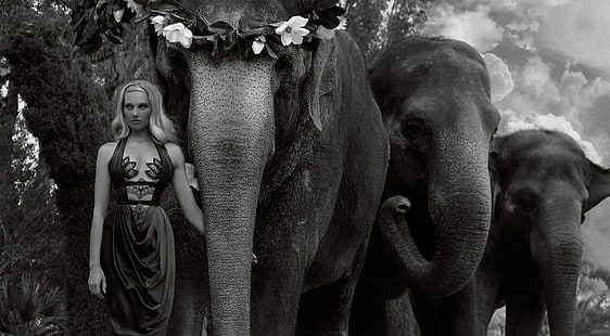 Woman Leading the Elephants, Black and White, Girl, Beautiful, People, Wild, Woman, Designer, Young, Amazing, Elephants, Animals, Model, Fashion, Collection, Wonderful, Elegant, fantastic, Lovely, Outfit, Fabulous, Clothing, glamorous, blackandwhite, clothes, extraordinary, loveanimals, HD wallpaper HD wallpaper