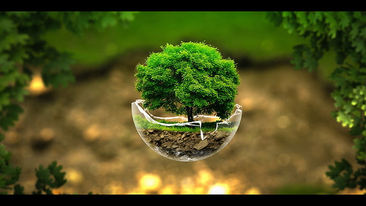 bonsai con foglie verdi, vetro surreale, rotto, Photoshop, alberi, arte digitale, natura, Sfondo HD