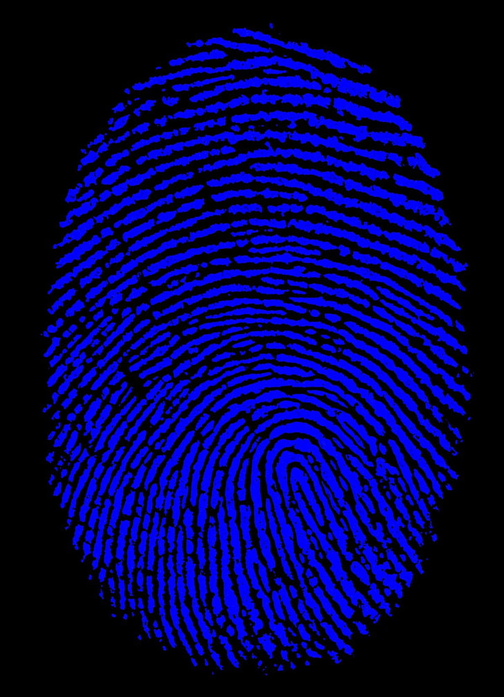 fingerprints, HD wallpaper