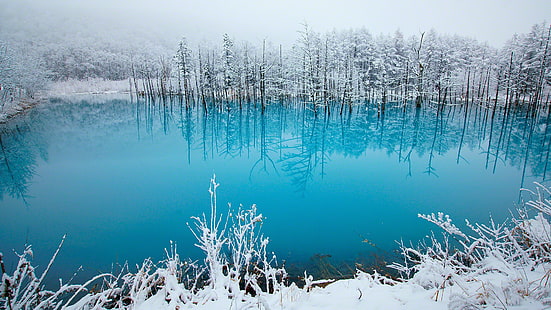 inverno, lago, beleza, conto, Japão, foto, azul, neve, lagoa, Hokkaido, Kent Shiraishi, Biei, HD papel de parede HD wallpaper