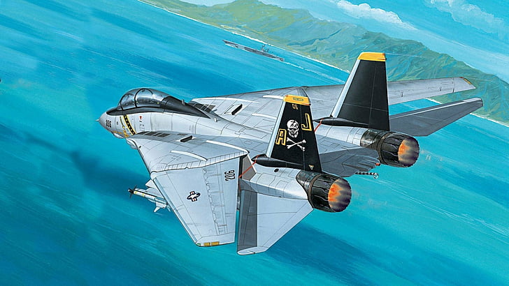 Jet Fighters, Grumman F-14 Tomcat, Sfondo HD