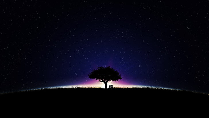 silhouette photo of tree, trees, HD wallpaper